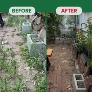 LIMETOW® Weed Destruction Powder