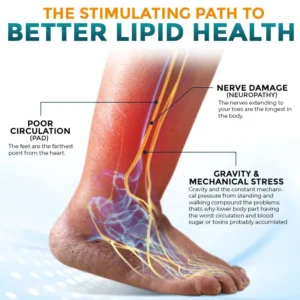 flysmus® Bee Venom Nodular Acupoint Stimulating Patch