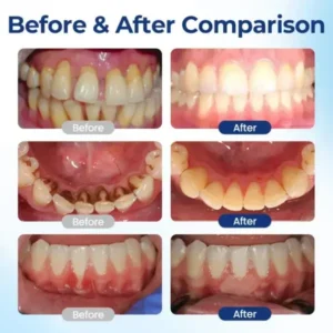 Alisanda® BeeTakt Oral Repair Solution