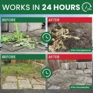 Kill Bamboo, Stumps & Invasive Weeds for Good – LIMETOW® Root Killer Powder